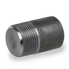 Carbon Steel Socket Weld & Thredaed Plug