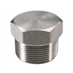 SS Socket Weld & Thredaed Plug