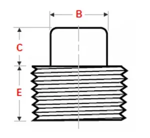 ASME B16.11 Threaded Square Head Plug